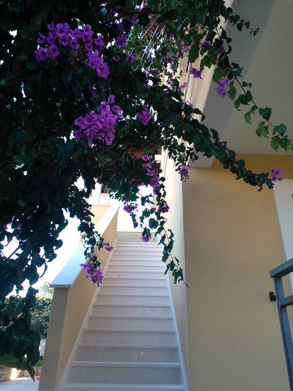 Tone & Marta Apartments Rogoznica  Εξωτερικό φωτογραφία